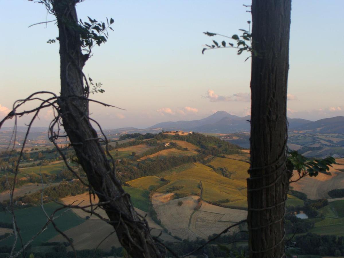 B&B Casa Cuccagna Fratte Rosa Exteriör bild